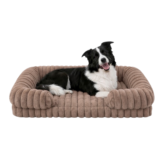 Kenzie Orthopaedic Dog Bed - Mocha
