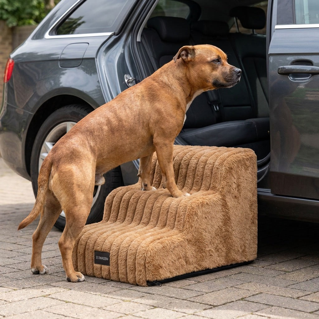 Kenzie Orthopedic Stairs — Caramel