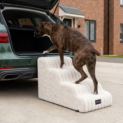 Kenzie Orthopedic Stairs — Vanilla