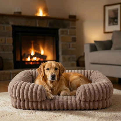 Kenzie Orthopaedic Dog Bed - Moka