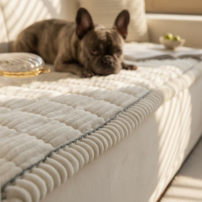 Kenzie Premium Sofa Cover – Ivory