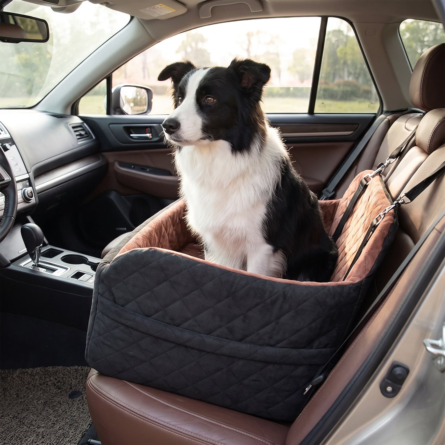 Kenzie Luxury Travel — Biscuit Max