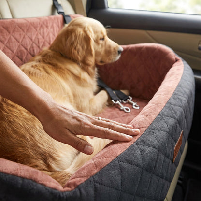Kenzie Luxury Travel — Biscuit Max
