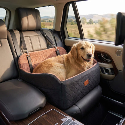 Kenzie Luxury Travel — Biscuit Max