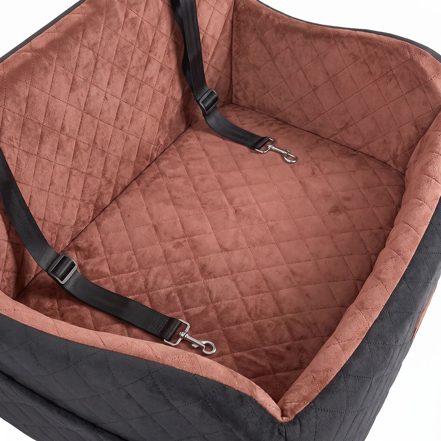 Kenzie Luxury Travel — Biscuit Max