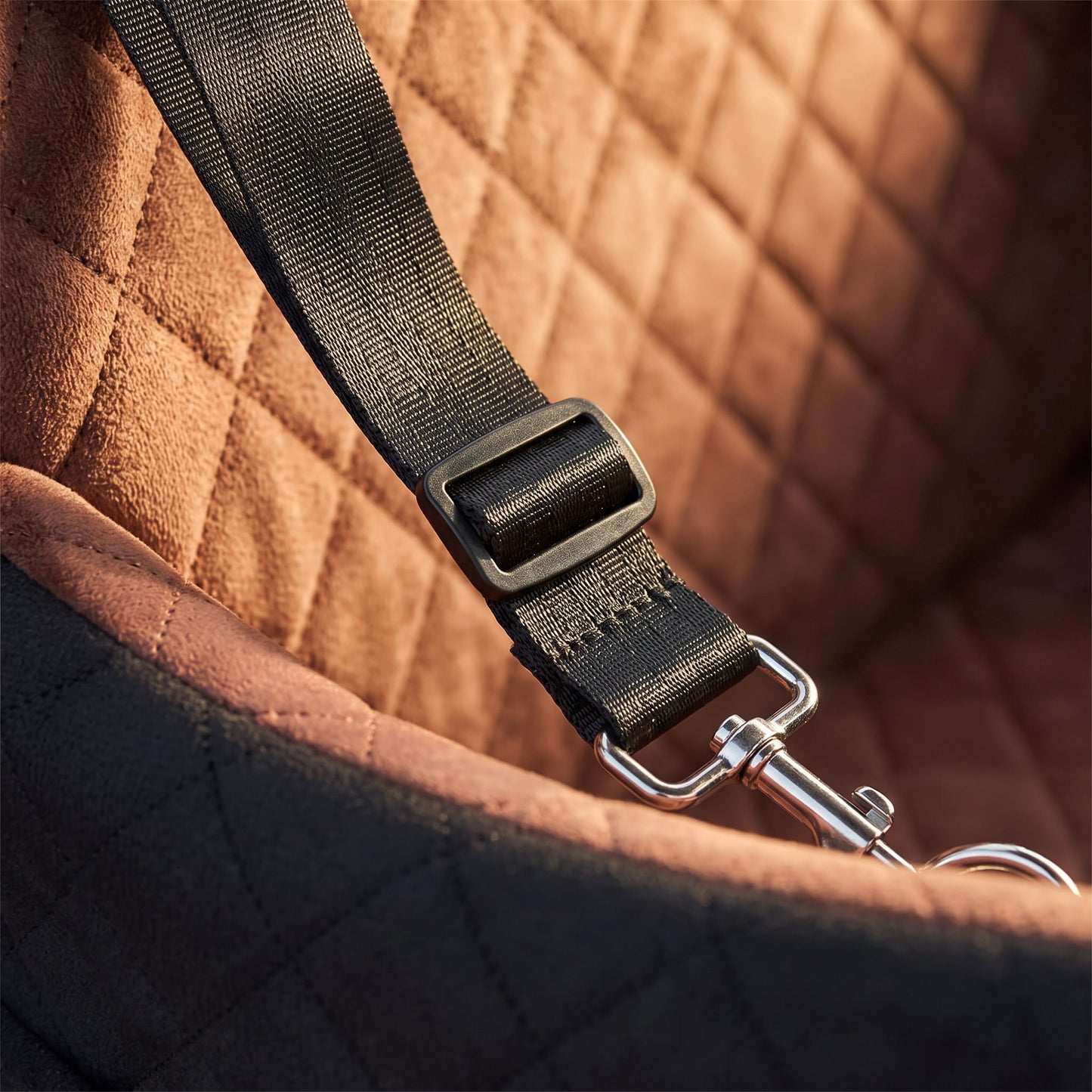 Kenzie Luxury Travel — Biscuit Max
