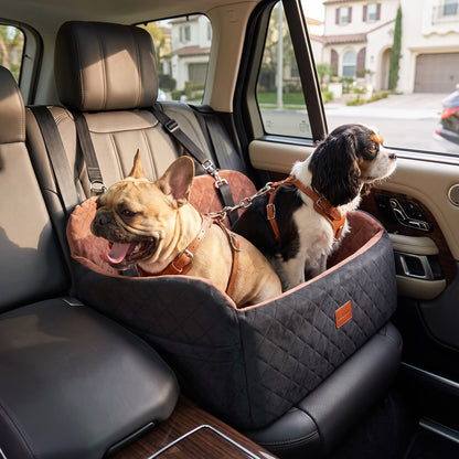 Kenzie Luxury Travel — Biscuit Max