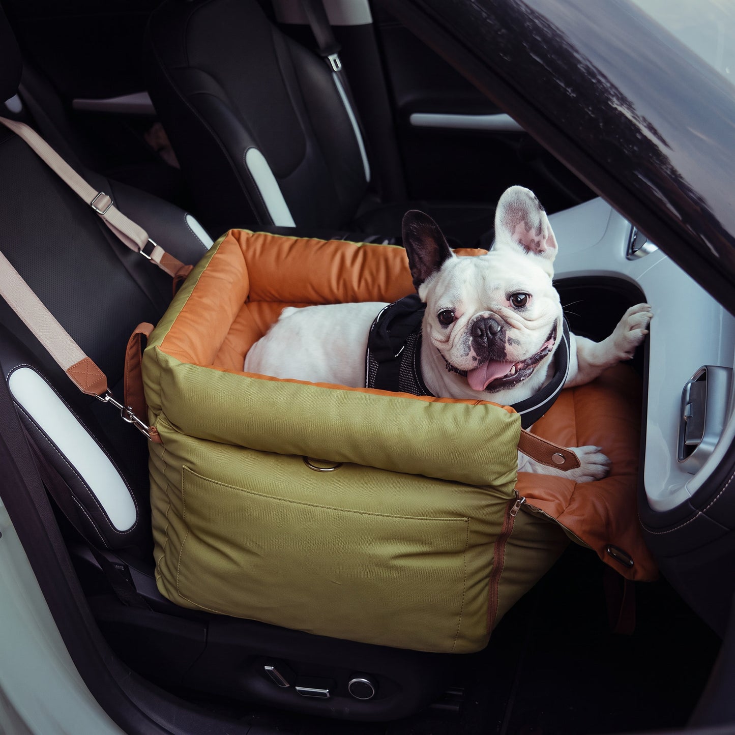 Kenzie Luxury Travel — Cloud
