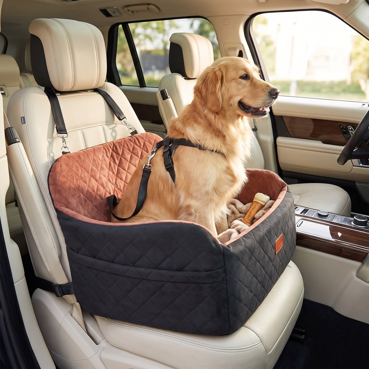 Kenzie Luxury Travel — Biscuit Max