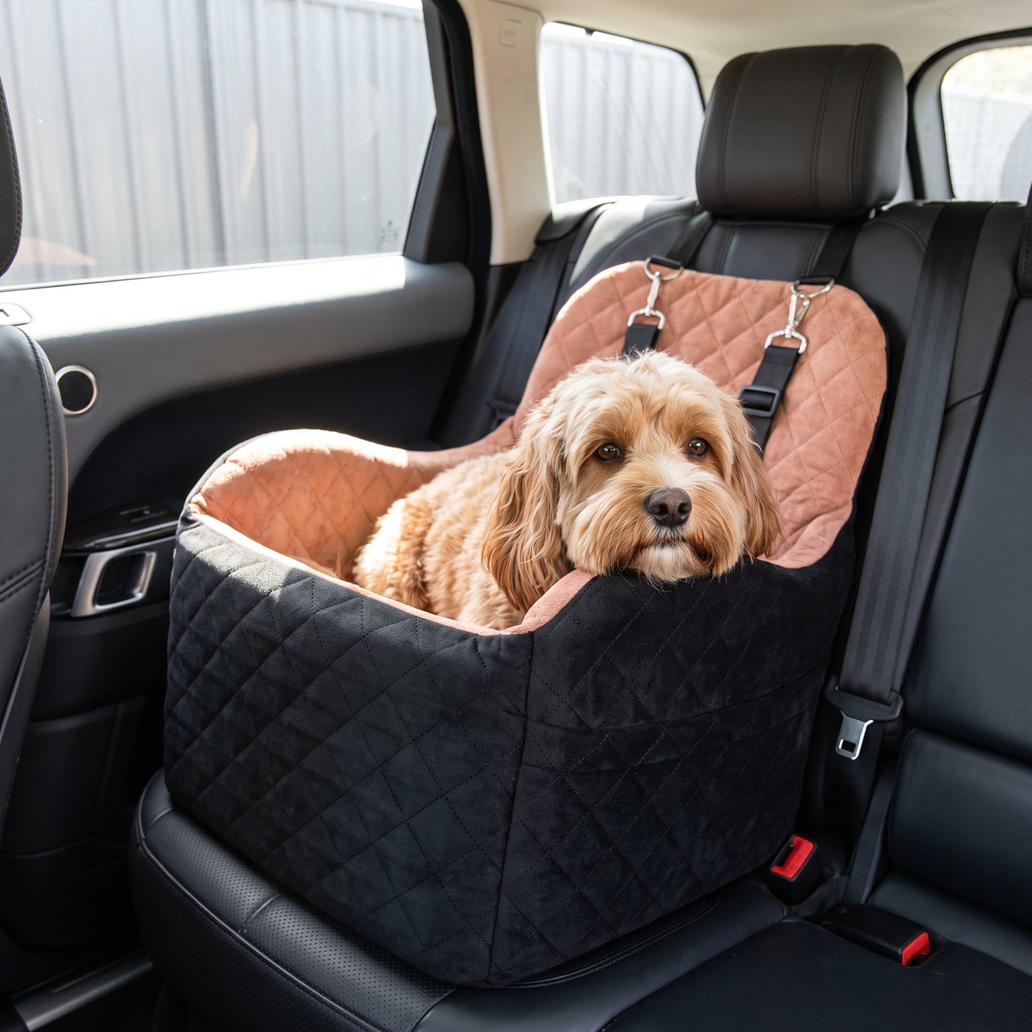 Kenzie Luxury Travel — Biscuit