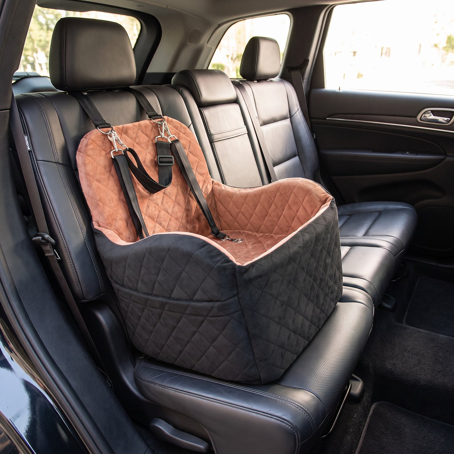 Kenzie Luxury Travel — Biscuit