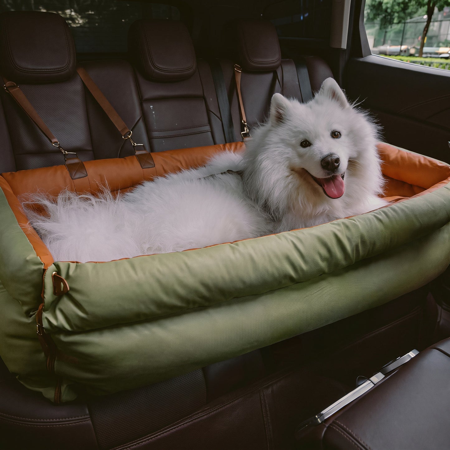Kenzie Luxury Travel — Cloud Max