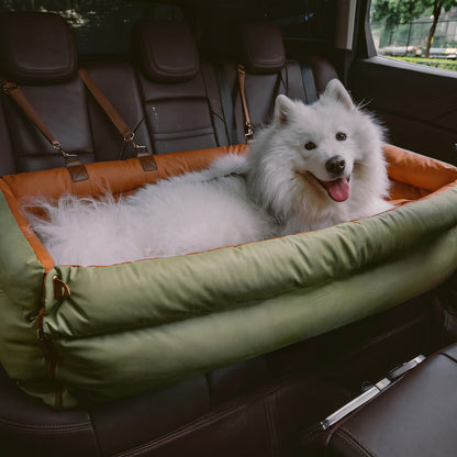 Kenzie Luxury Travel — Cloud Max