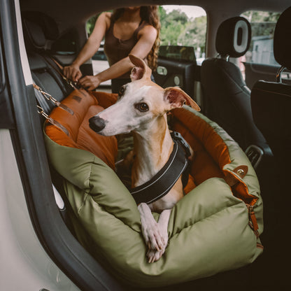 Kenzie Luxury Travel — Cloud Max