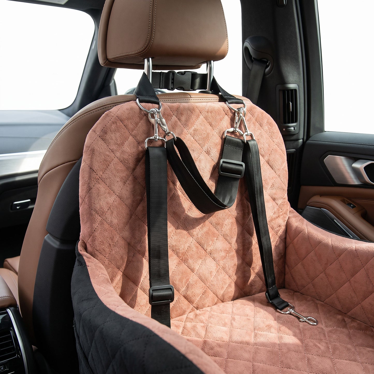 Kenzie Luxury Travel — Biscuit